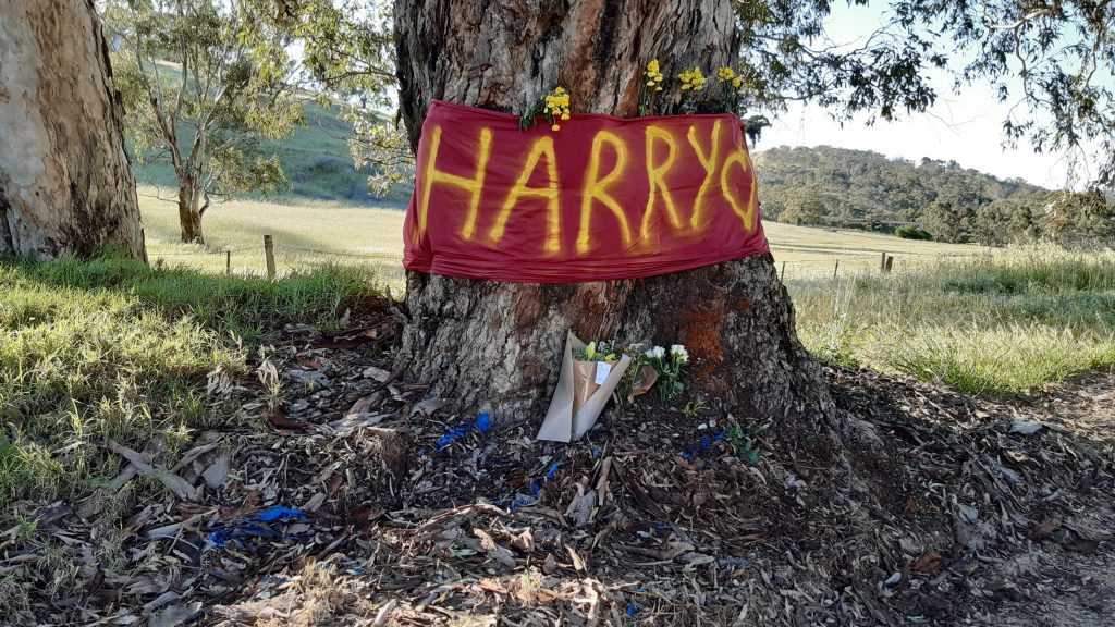Thumbnail for ‘Harry’s Law’: Grieving mum lobbies for better motorbike training