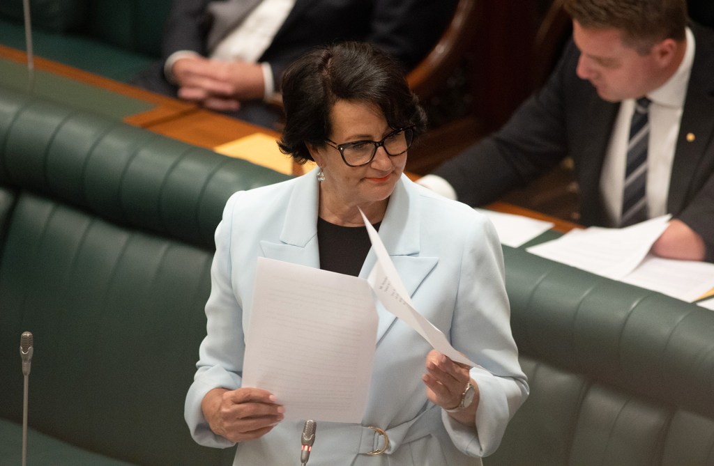 Attorney-General Vickie Chapman. Photo: Tony Lewis/InDaily 