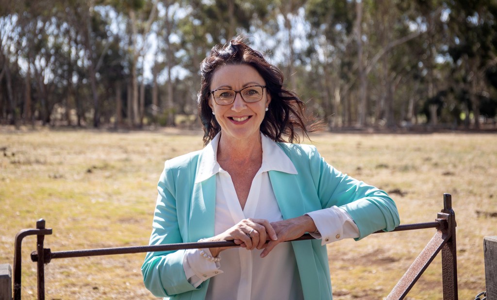 Thumbnail for Regional advocate to run against Lib exile