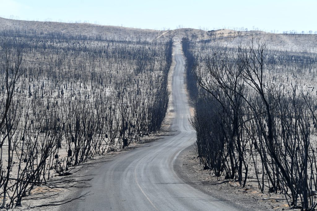 Thumbnail for CFS lacked resources to deal with KI fire: review