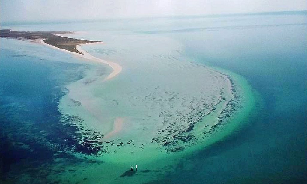 Thumbnail for Streaky Bay battle over oyster spat for spit