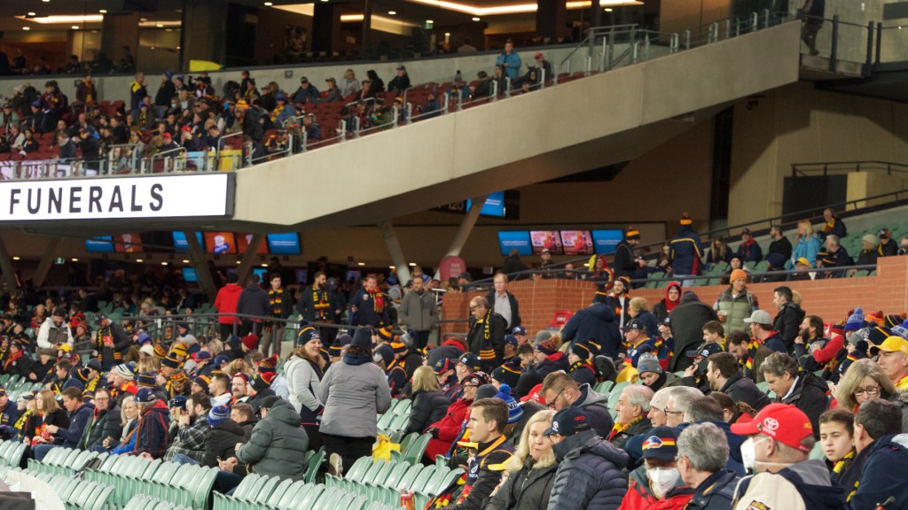 Thumbnail for No changes but Adelaide Oval capacity increase ‘on the table’