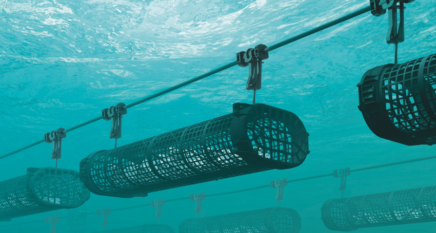 Aquaculture systems producers SEAPA received $30,000 in funding from the last round of Export Accelerator grants  