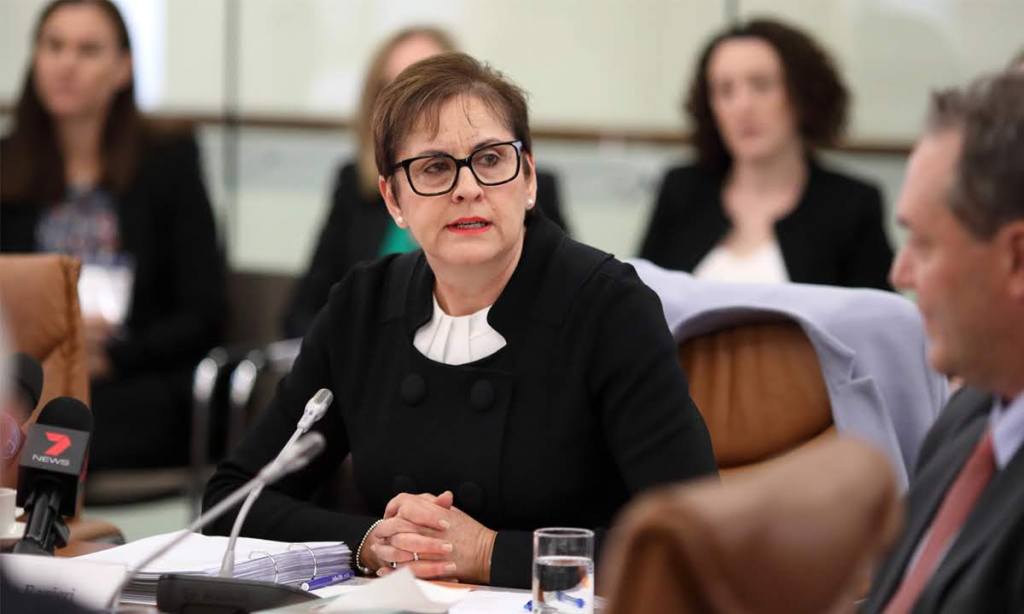 Thumbnail for Private investigators to probe public service