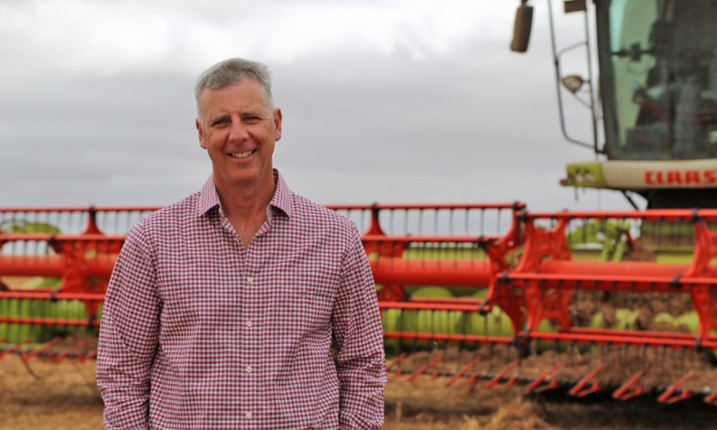 Thumbnail for SA’s first GM crops planted amid bumper harvest