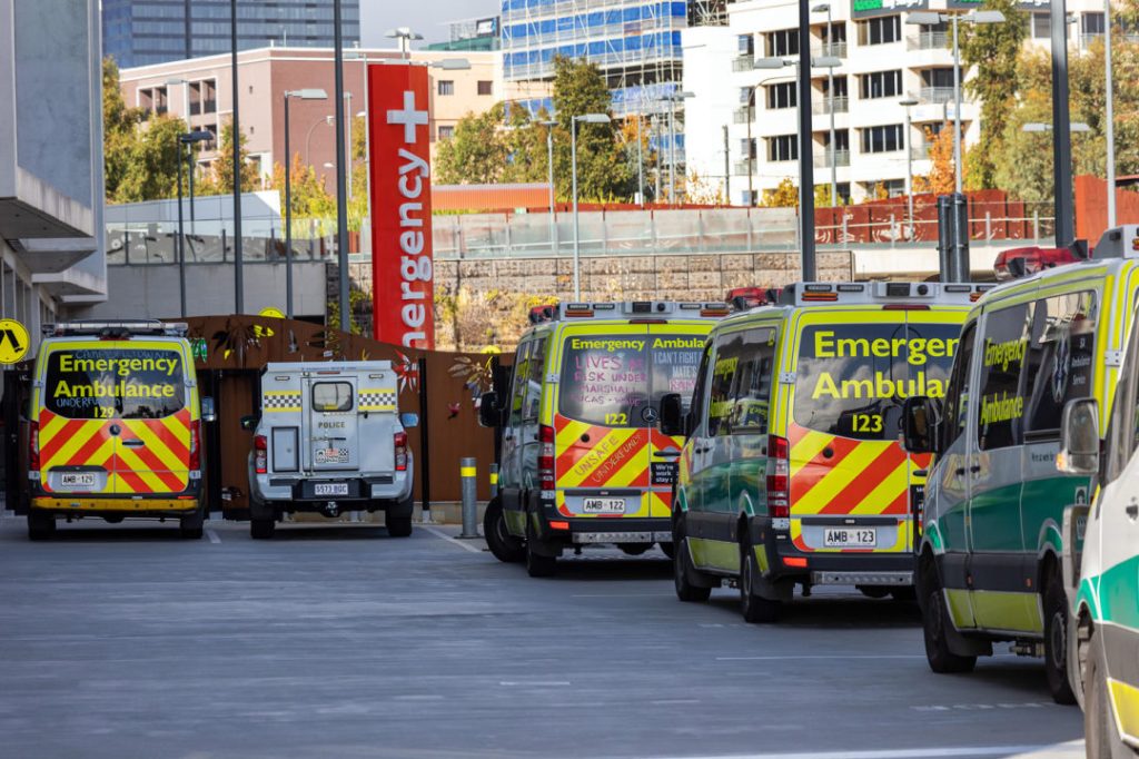 Picture: Tony Lewis/InDaily.