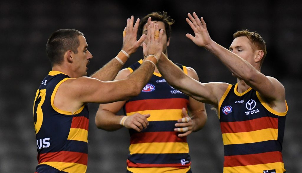 Symbolically and literally, the efforts of Adelaide's veterans partially obscured those of the side's emerging stars. Photo: James Ross / AAP