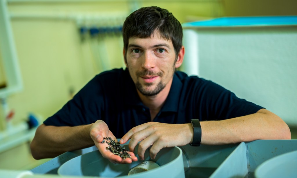 Thumbnail for Yumbah adds Tassie oysters to growing shellfish portfolio