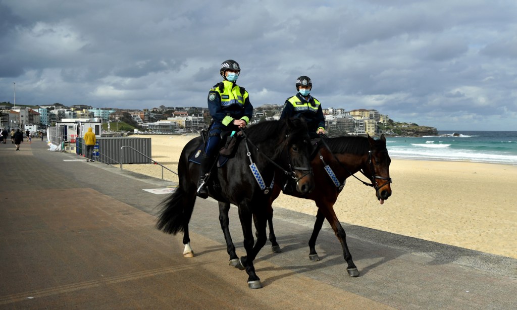 Thumbnail for More than 100 NSW cases expected today