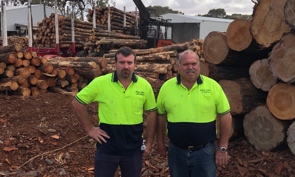 Thumbnail for Sawmill’s bid to chop timber shortages