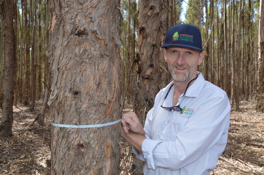 Thumbnail for Warning that Kangaroo Island forests will burn again after port bid axed