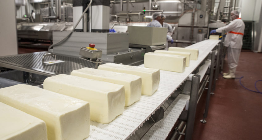 Beston Global Foods' mozzarella production line at its Jervois factory. Picture: Walter Bulyga.