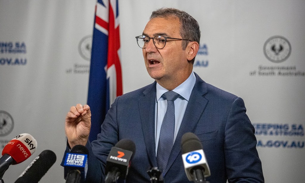Thumbnail for SA lifts COVID restrictions as variant fears ease