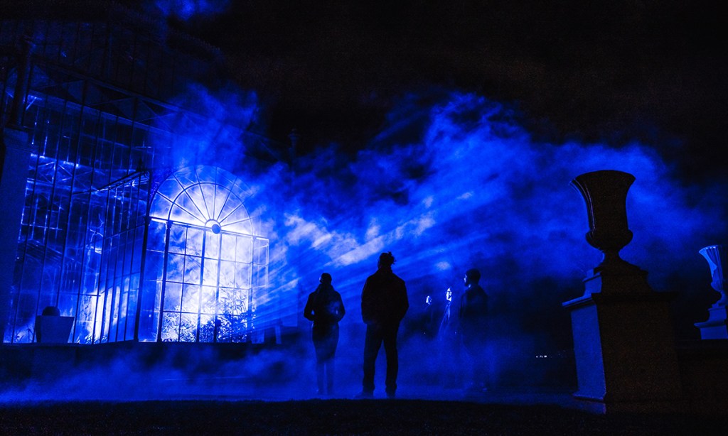 Thumbnail for A magical night-time experience reimagining Adelaide Botanic Garden