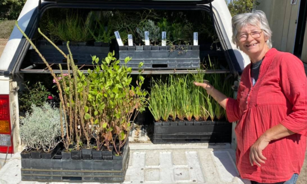 Kangaroo Island Garden Club president Anne Morrison has helped coordinate the outpouring of support to get KI gardeners back to their plots after the 2020 fires. 