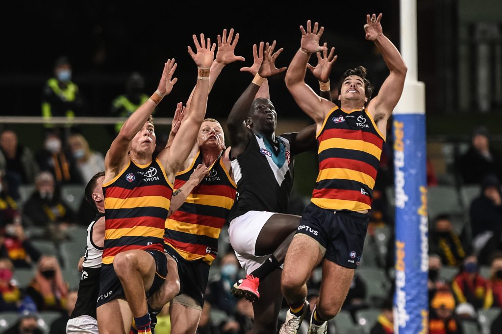 Thumbnail for Friday night Showdown for Adelaide Oval