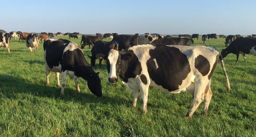 Thumbnail for Last chance to nominate for 2021 Ag Town of the Year