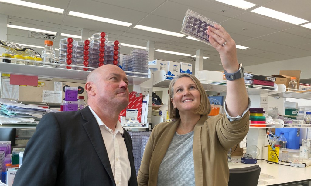 Thumbnail for Sementis raises $5m for COVID vaccine as Hickinbotham takes majority stake