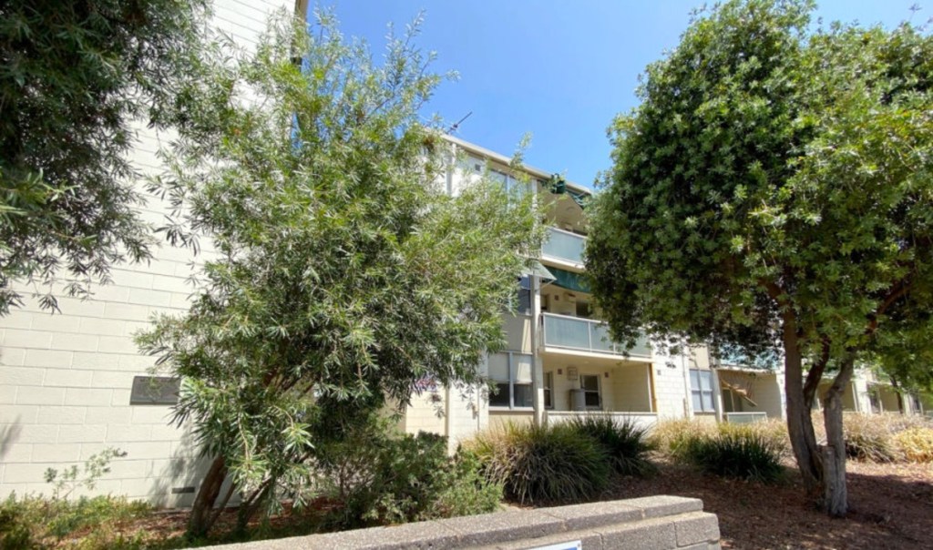 Public housing flats in Adelaide. Photo: Tony Lewis/InDaily