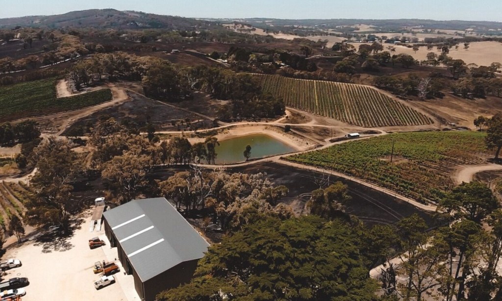Thumbnail for Ag tech and bravado brings Adelaide Hills vineyard back from ashes