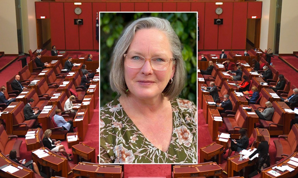 Thumbnail for SA factional boss set for Senate