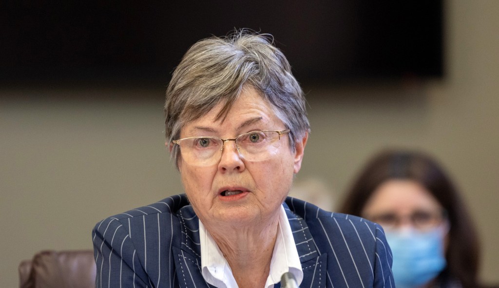 Ann Vanstone fronting parliament this week. Photo: Tony Lewis / InDaily
