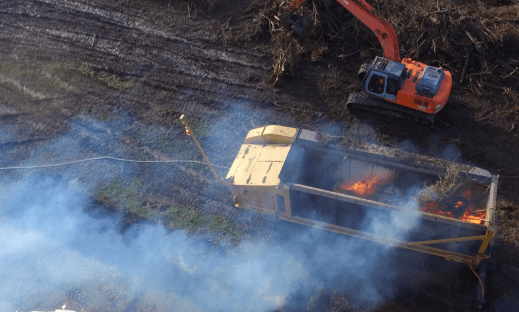 Thumbnail for Circular economy program turns feral olives into vineyard biochar