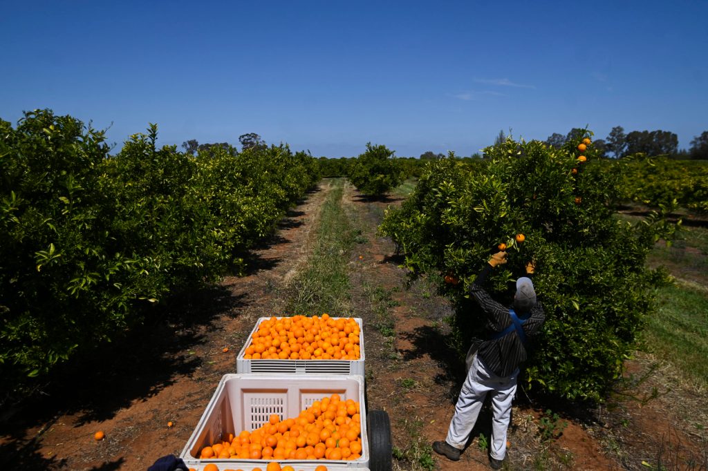 Casual and part-time workers have been hardest hit by the pandemic. Photo: Lukas Coch/AAP