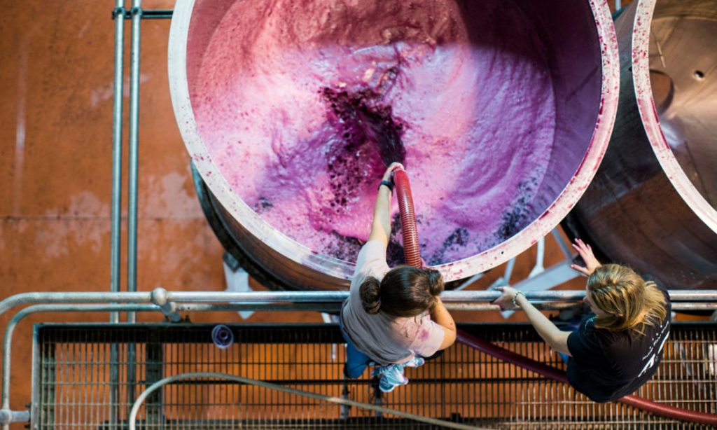 Thumbnail for New wine markets go flat as China runs dry