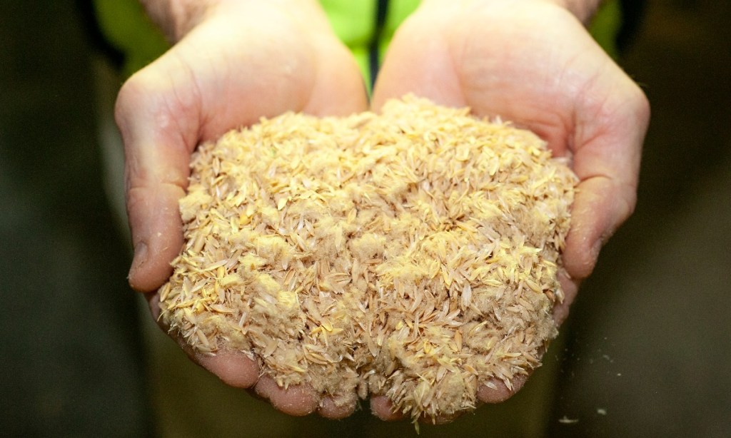 Thumbnail for Bordertown’s bioenergy breakthrough