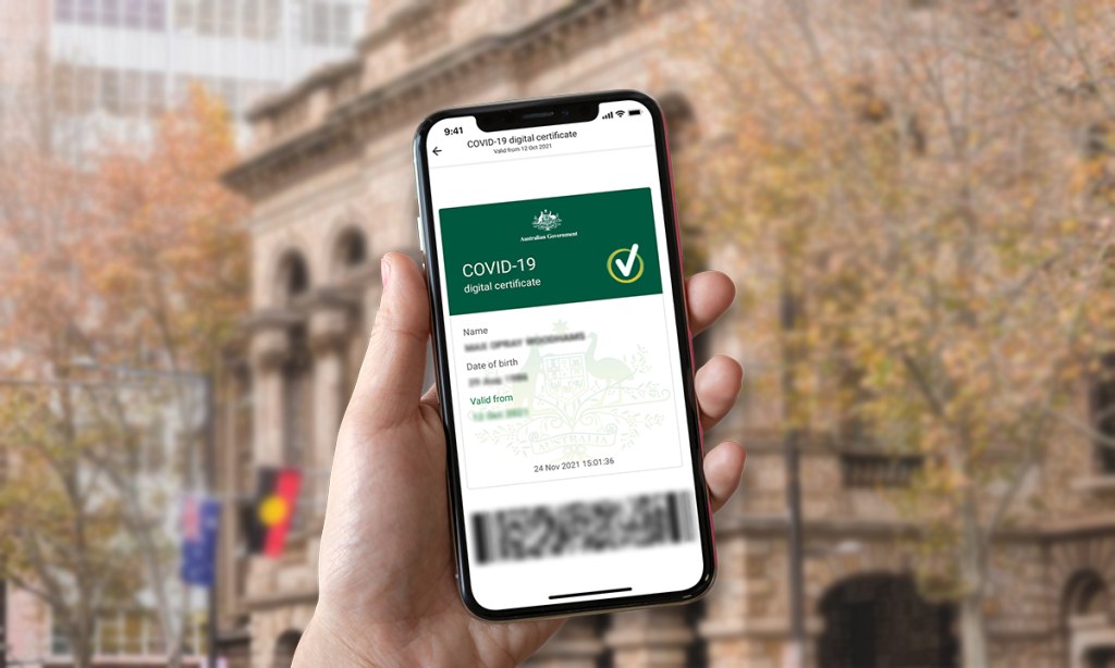 Thumbnail for Experts warn forgeries make vaccine check-in app ‘almost meaningless’