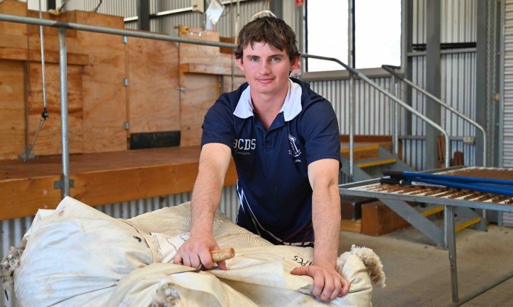 Year 12 student Jaxon Kumnick participates in the Booleroo Centre school’s sheep shearing and wool classing course. Photo: Belinda Willis