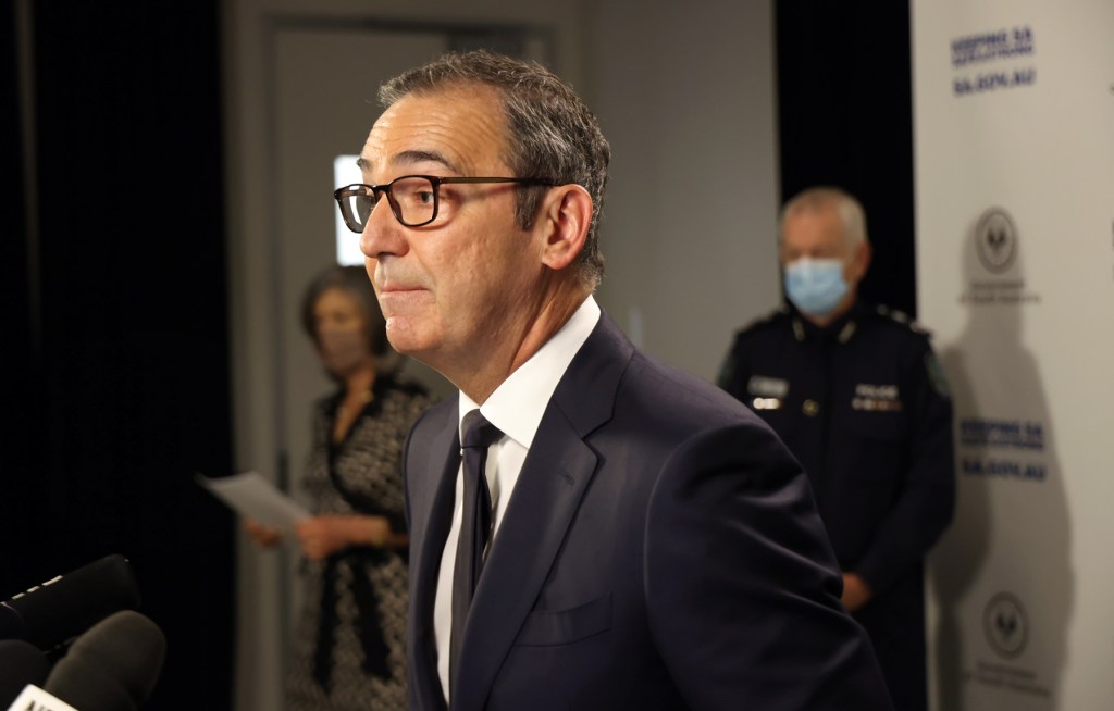 Thumbnail for SA’s new COVID rules after November 23