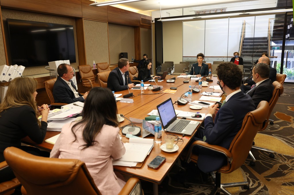 Crown Solicitor's Office lawyer Rina Reina faces the committee today. Photo: Tony Lewis / InDaily