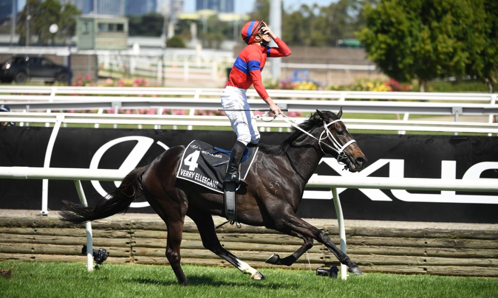 Jockey James McDonald appears to be in disbelief after winning the 2021 Melbourne Cup aboard Verry Elleegant. Picture: James Ross/AAP.