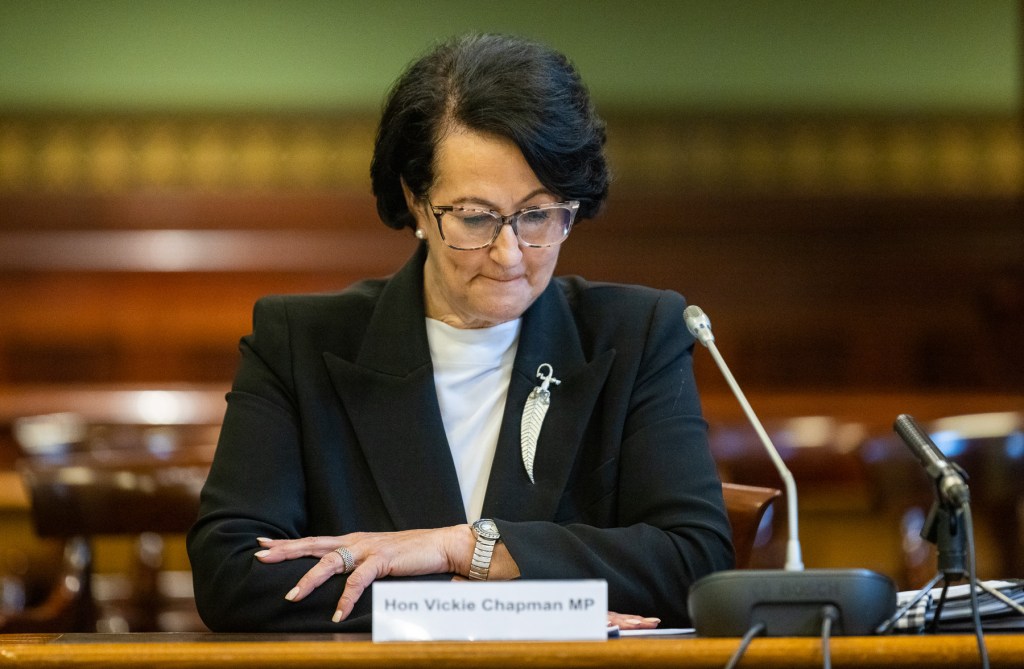 Thumbnail for ‘Despicable mudslinging’: Chapman lashes inquiry amid resignation calls