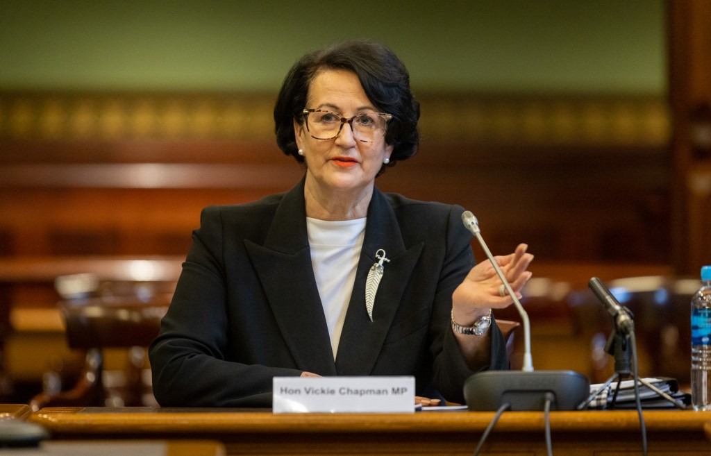 Vickie Chapman facing this month's parliamentary inquiry into her handling of the KI port. Photo: Tony Lewis / InDaily