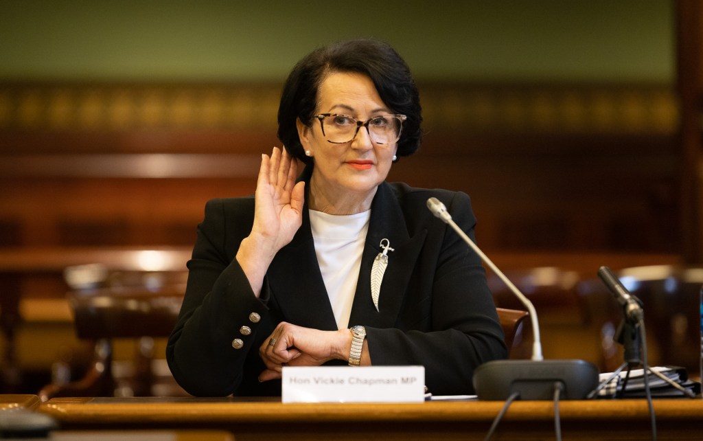 Vickie Chapman gives evidence this morning. Photo: Tony Lewis/InDaily