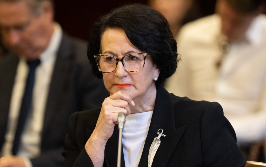 Thumbnail for Kangaroo Island port ‘worthy of approval’, parliament told