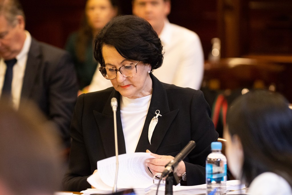 Vickie Chapman facing this month's parliamentary inquiry. Photo: Tony Lewis / InDaily