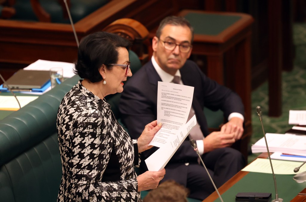 Thumbnail for Unprecedented: Deputy Premier Vickie Chapman loses no confidence motion