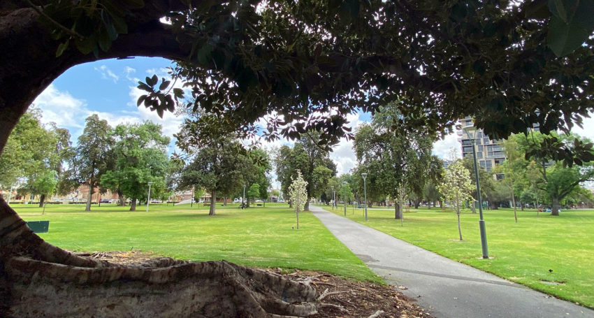 Whitmore Square in the Adelaide CBD (Photo: Tony Lewis/InDaily)