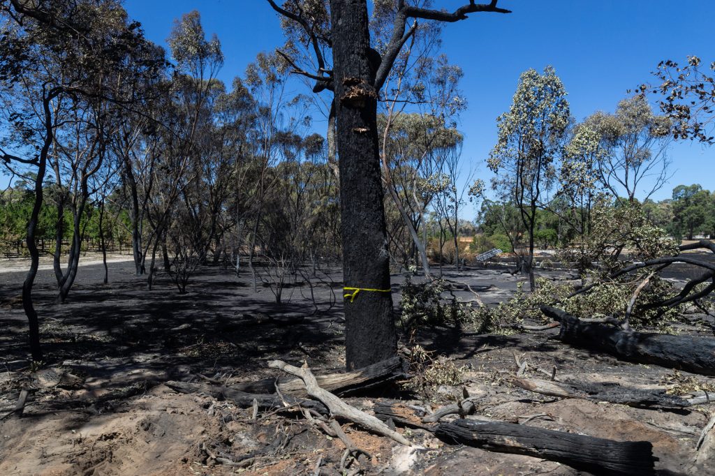 Thumbnail for The burning issue of fires raging in remote Australia