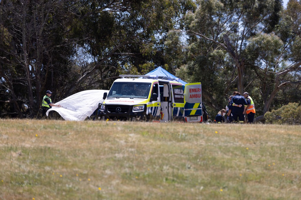 Photo:(AAP/Grant Wells