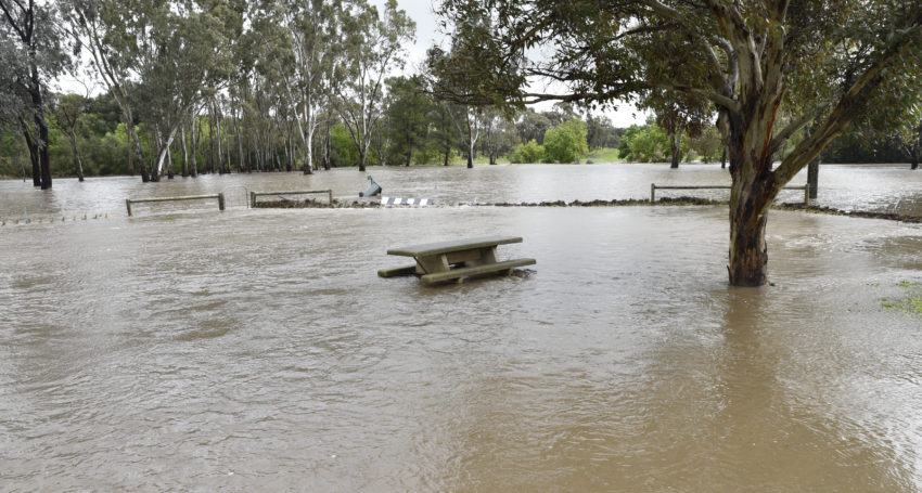 Thumbnail for ‘Not a normal summer’: SA braces for more heavy rain