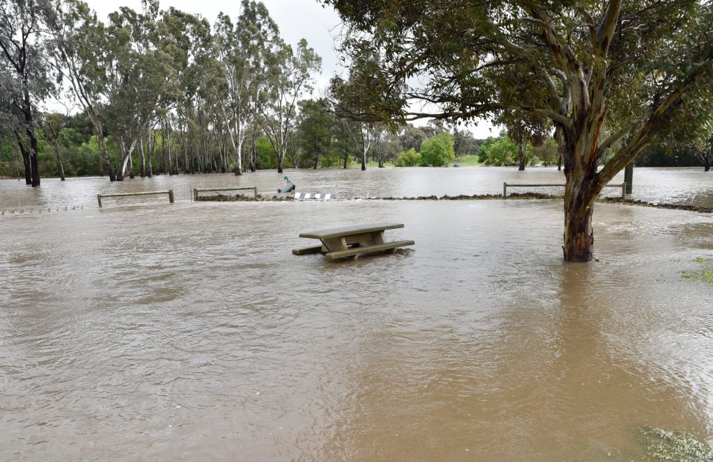 Thumbnail for SA flood warning as big wet approaches