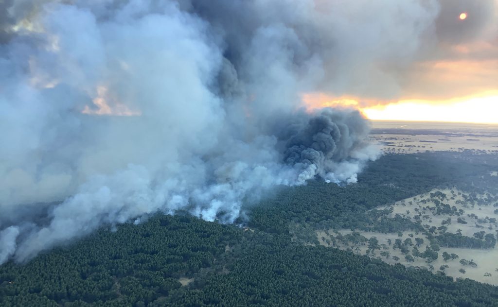 Supplied image of the Coles fire, near Lucindale in SA's south-east. Photo: AAP/CFS