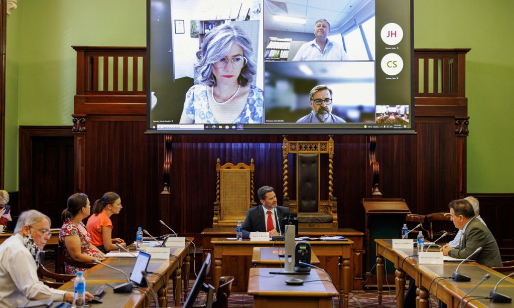 Professor Nicola Spurrier, Don Frater and Chris McGowan front this morning's Budget and Finance Committee hearing via video link. Picture: Tony Lewis/InDaily
