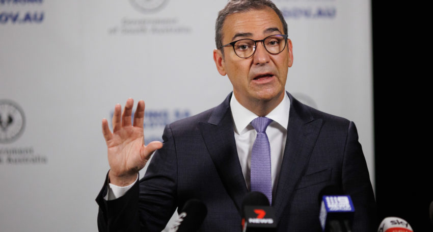 South Australian Premier Steven Marshall. Photo: Tony Lewis/InDaily