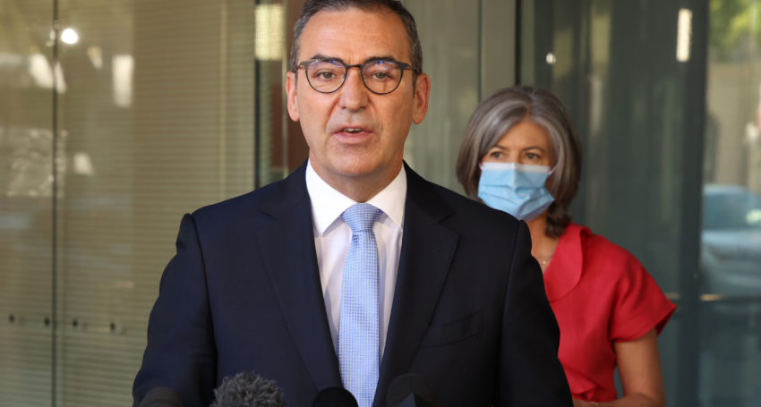 Premier Steven Marshall and chief public health officer Professor Nicola Spurrier. Photo: Tony Lewis/InDaily